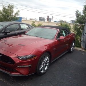 Meet your Posher, Samuel